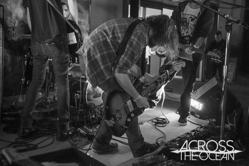 the_laurels_the_farmer_and_the_owl_02