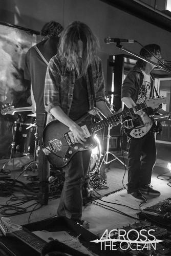 the_laurels_the_farmer_and_the_owl_03