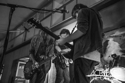 the_laurels_the_farmer_and_the_owl_11