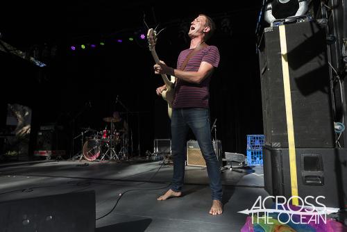 the_peep_tempel_the_farmer_and_the_owl_15_10