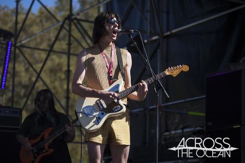 the_pinheads_yours_and_owls_festival_04