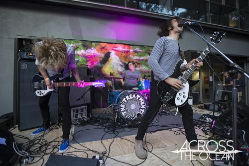 the_treatment_the_farmer_and_the_owl_11