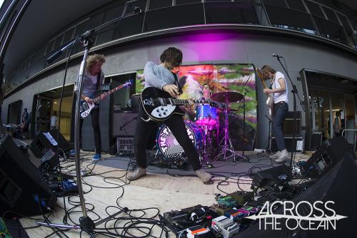 the_treatment_the_farmer_and_the_owl_15