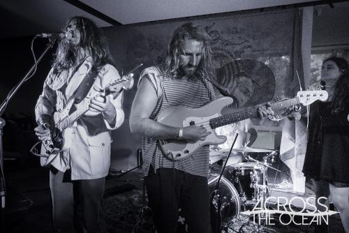 the_walking_who_the_farmer_and_the_owl_02