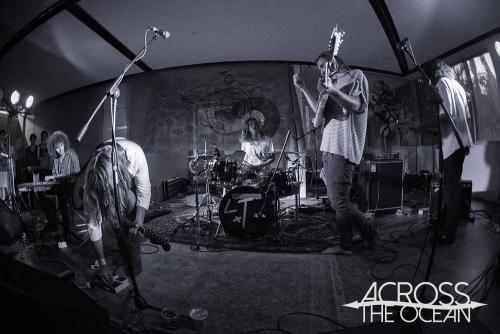 the_walking_who_the_farmer_and_the_owl_07