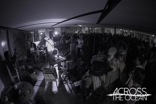 the_walking_who_the_farmer_and_the_owl_11