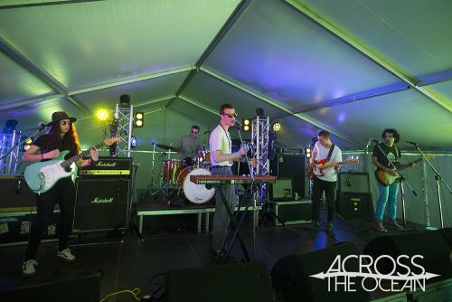 the_zilzies_yours_and_owls_festival_08