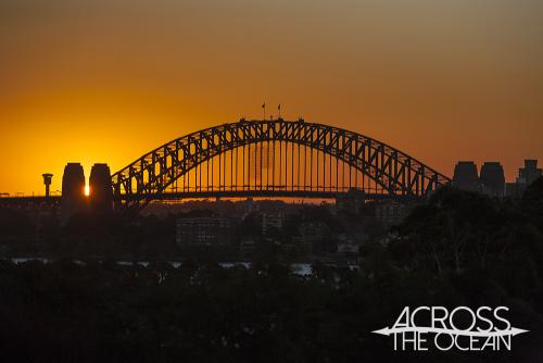 you_am_i_twilight_at_taronga_01