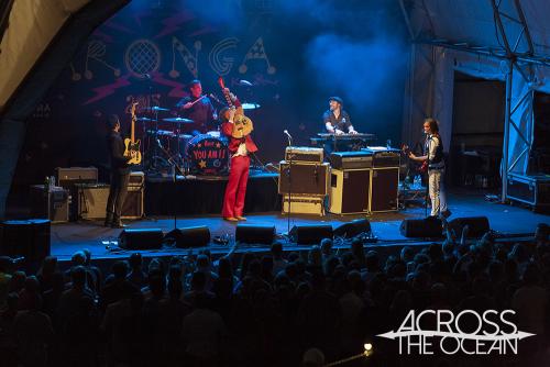 you_am_i_twilight_at_taronga_10