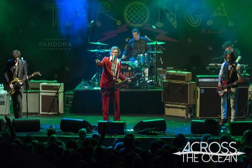 you_am_i_twilight_at_taronga_12