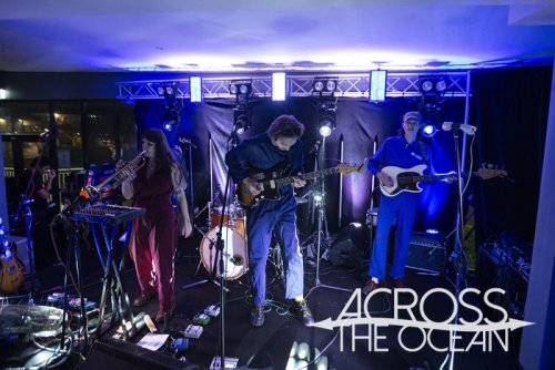 media puzzle the marlin 09