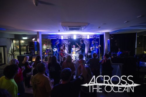 media puzzle the marlin 10