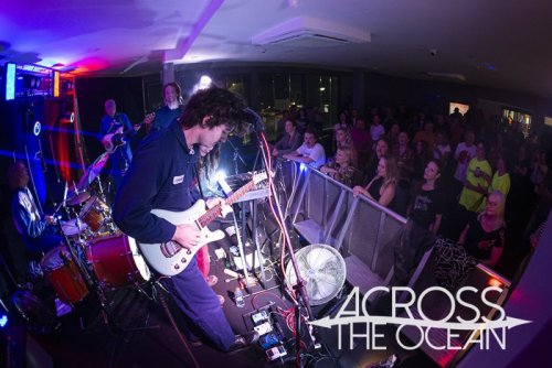 media puzzle the marlin 17